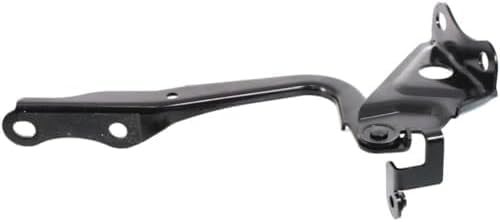 Set of 2 Front Hood Hinge Steel Right Passenger & Left Driver Side Direct Replacement Compatible with 2006-2012 Toyota RAV4 TO1236163 TO1236164 534100R030 534200R030