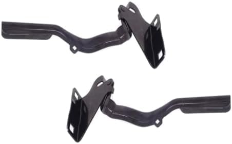 Set of Front Hood Hinge Steel Left Driver & Right Passenger Side Direct Replacement Compatible with 2013-2021 Nissan NV200 NI1236169 NI1236168 F54003LMMC F54013LMMC