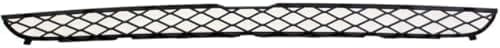 Front Bumper Upper Grille Textured Plastic Direct Replacement Compatible With 2008-2014 BMW X6 / 2007-2013 X5 BM1036117 51117159597