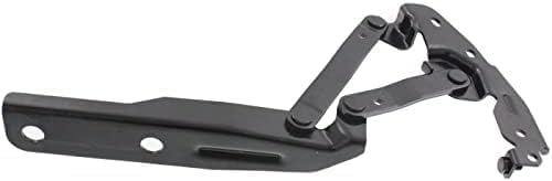 Set of 2 Front Hood Hinge Steel Right Passenger & Left Driver Side Direct Replacement Compatible with 2008-2020 Dodge Grand Caravan / 2008-2016 Chrysler Town & Country CH1236121