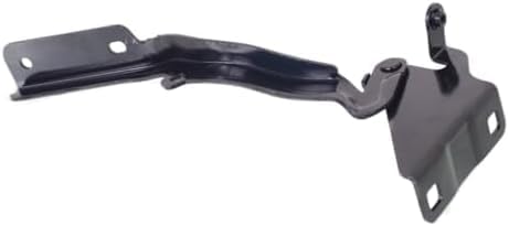Set of Front Hood Hinge Steel Left Driver & Right Passenger Side Direct Replacement Compatible with 2013-2021 Nissan NV200 NI1236169 NI1236168 F54003LMMC F54013LMMC
