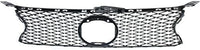 Front Grille Assembly Gray Shell And Insert Plastic Direct Replacement Compatible With 2013-2015 Lexus GS350 / 2015 Lexus GS450h LX1200142 5311130E00