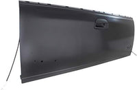 Tailgate Assembly Styleside Non Locking Direct Replacement Compatible with 1997-2007 Ford F-Series FO1900121