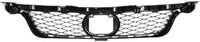 Front Grille Painted Dark Gray Shell And Insert Plastic Direct Replacement Compatible With 2011-2013 Lexus CT200h LX1200143 5311176030