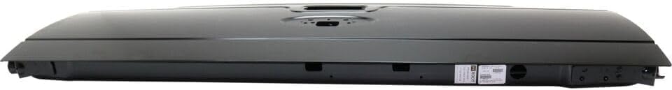 Rear Tail Gate Steel Without Integrated Step Direct Replacement Compatible with 2008-2016 Ford F-250 / F-350 Super Duty FO1900125 DC3Z9940700A