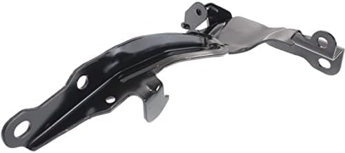 Set of 2 Front Hood Hinge Steel Right Passenger & Left Driver Side Direct Replacement Compatible with 2007-2013 Toyota Tundra / 2008-2020 Sequoia TO1236185 TO1236186 534100C020