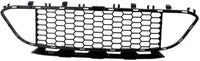 Front Bumper Center Grille Textured Plastic Direct Replacement Compatible With 2013-2019 BMW 3-Series BM1036137 51118068124