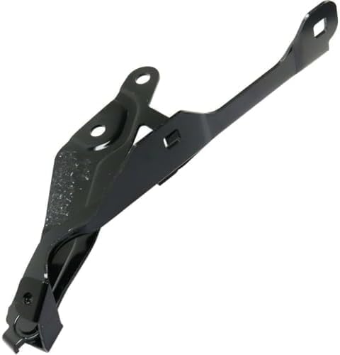 Set of 2 Front Hood Hinge Steel Left Driver & Right Passenger Side Direct Replacement Compatible with 2018-2023 Ford Mustang FO1236179 FO1236178 JR3Z16796A R3Z16797A