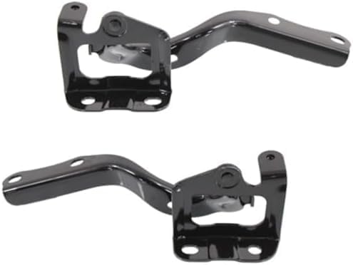Set of 2 Front Hood Hinge Steel Right Passenger & Left Driver Side Direct Replacement Compatible with 2010-2015 Toyota Prius / 2012-2015 Plug-in TO1236167 TO1236168 5341047070