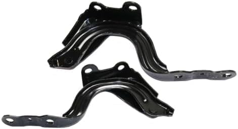 Set of 2 Front Hood Hinge Assembly Steel Left Driver & Right Passenger Side Direct Replacement Compatible with 2017-2020 Hyundai Elantra HY1236166 HY1236165 79120F2000 79110F2000