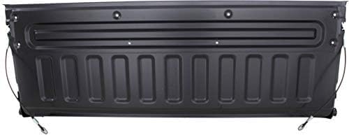 Tailgate Assembly Styleside Non Locking Direct Replacement Compatible with 1997-2007 Ford F-Series FO1900121