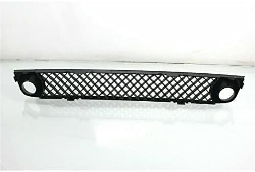 Front Bumper Lower Grille Direct Replacement Compatible With 2006-2009 Chevrolet Trailblazer GM1036140 15135191