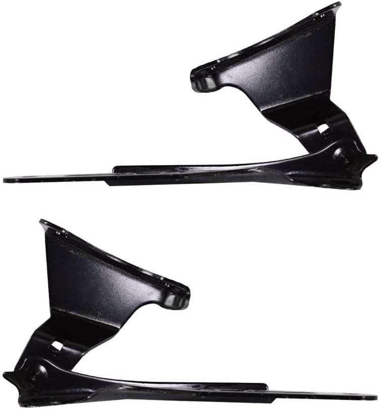 Set of 2 Front Hood Hinge Steel Right Passenger & Left Driver Side Direct Replacement Compatible with 2002-2006 Acura RSX AC1236102 AC1236101 60120S6M000ZZ 60170S6M000ZZ