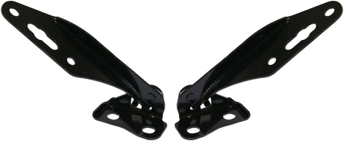 Set Of 2 Front Hood Hing Left Driver & Right Passenger Side Direct Replacement Compatible With 1992-1995 Honda Civic HO1236104 HO1236103 60120SR0A00ZZ 60170SR0A00ZZ