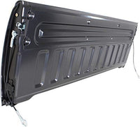 Tailgate Assembly Styleside Non Locking Direct Replacement Compatible with 1997-2007 Ford F-Series FO1900121