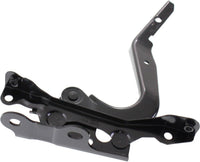 Front Hood Hinge Right Passenger Side Direct Replacement Compatible With 2008-2015 Scion xB SC1236103 5341012580