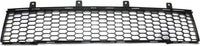 Front Bumper Lower Grille Textured Direct Replacement Compatible With 2012-2017 Fiat 500 FI1036100 1RZ48KX7AA