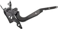 Front Hood Hinge Right Passenger Side Direct Replacement Compatible With 2008-2015 Scion xB SC1236103 5341012580