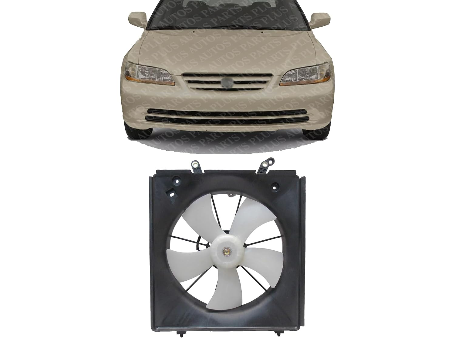 Front Radiator Single Fan Assembly Direct Replacement Compatible with 1998-2002 Honda Accord / 1999-2003 Acura CL/TL HO3115111 19020P8CA01-PFM 19030P8CA01 19015P8CA01
