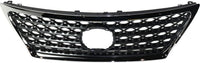 Front Grille Chrome Shell And Painted Gray Insert Plastic Direct Replacement Compatible With 2010-2012 Lexus LS460 LX1200176 5310050903