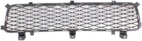 Front Bumper Grille Primed Plastic Direct Replacement Compatible With 2008-2014 Lexus IS F LX1036101 5311253020